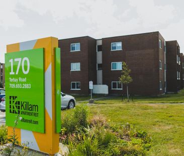 Torbay Road Apartments - Photo 2