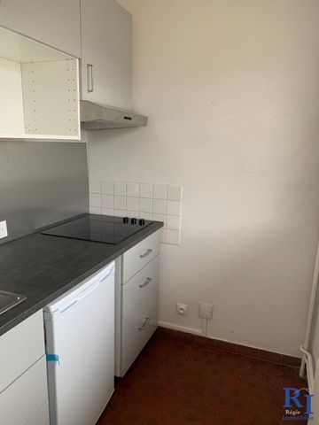 Location Appartement 1 pièce 26m² GRENOBLE 38000 - Photo 2