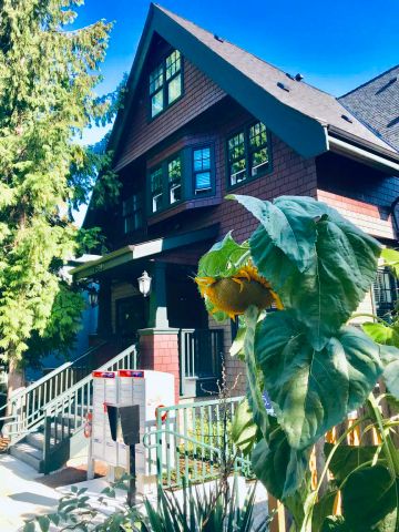 Gertie's House — 2 Bedroom - Photo 5