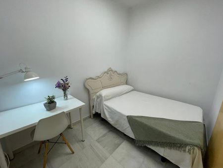 Calle San Luis, Sevilla, Andalusia 41003 - Photo 4