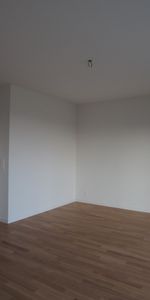 8134 Adliswil - Photo 3