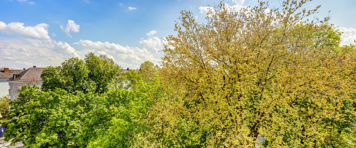 Furnished attic apartment in Obergiesing - Foto 1