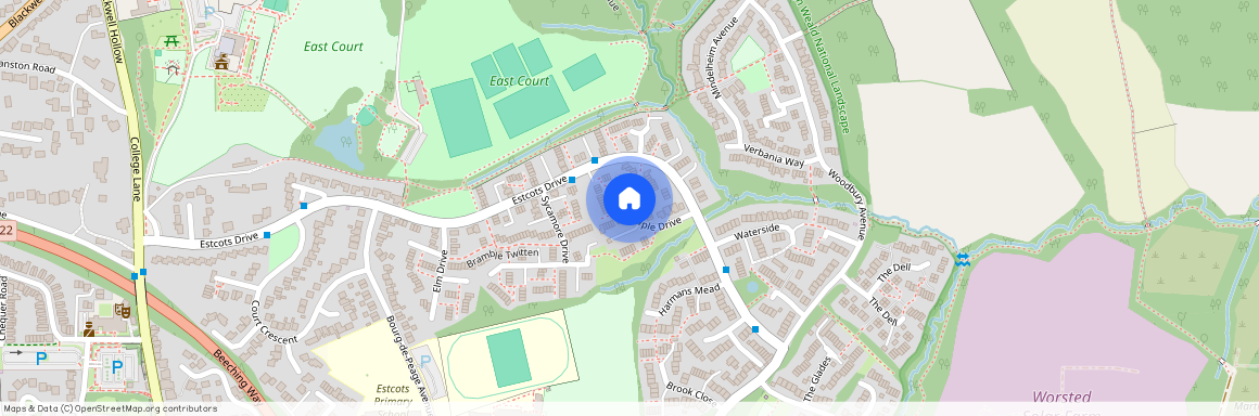 Maple Drive, East Grinstead, West Sussex, RH19 3UR