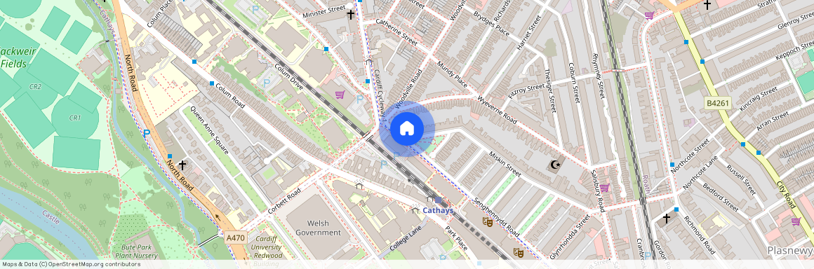 Miskin Street, CF24 4AS, Cathays
