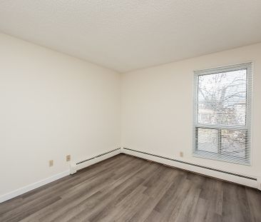 Daly Grove - Photo 6