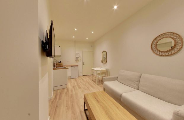 Location Appartement 1 pièce 19m² GRENOBLE 38000 - Photo 1