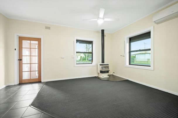 Family Living with Shedding Galore - Photo 1