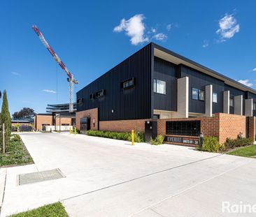 31/16 Everist Street, Taylor ACT 2913 - House For Rent | Domain - Photo 1