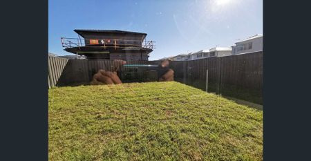 Spacious family house for Lease in Schofields - Photo 4