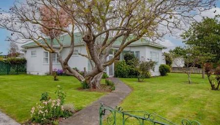 Character Home in the Heart of Taradale - Photo 5