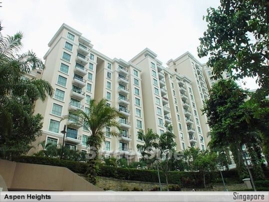 Aspen Heights (D9), Condominium - For Rent - Photo 1