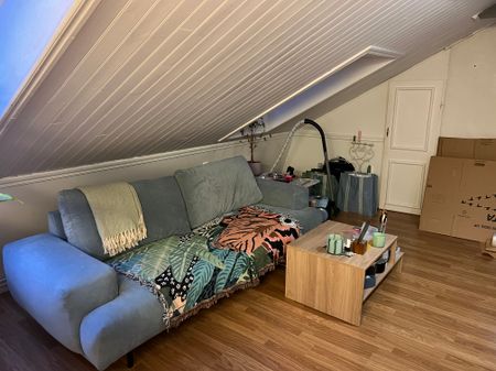 Magnus Åbergsgatan, Trollhättan - Foto 2