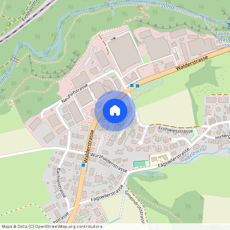 8630, Rüti, Frohwiesstrasse, 2