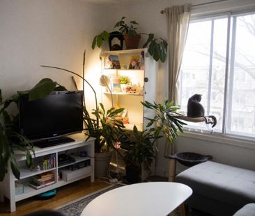 Chambre à Louer 4 1/2 - Photo 3