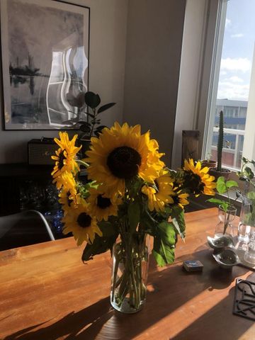 Järnåkravägen, Lund - Photo 3