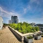 For Lease - 25 Cole Street Unit# 911, Toronto, Ontario - Photo 1