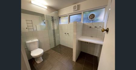 BIG GROUND FLOOR FLAT with COURTYARD - Photo 5