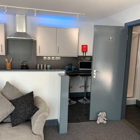 1 bedroom private hall to rent - Photo 4