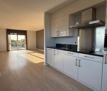Zuidplashof 49 - foto 4