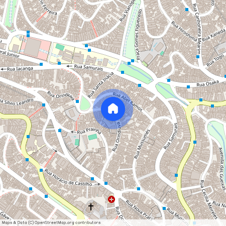 Rua Orindiuva, 342, Vila Maria, São Paulo - SP, 02130-050, Brazil