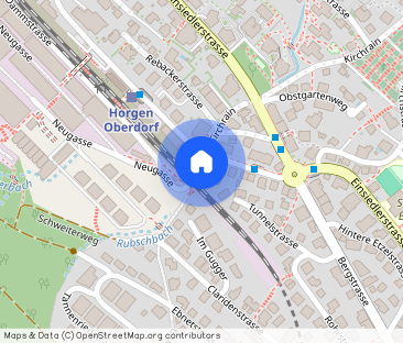 Modern living with a view of Lake Zurich - Foto 1