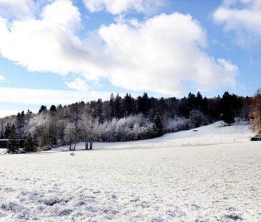 APPARTEMENT 2½ PIÈCES À MAGGLINGEN/MACOLIN (BE), MEUBLÉ - Photo 6