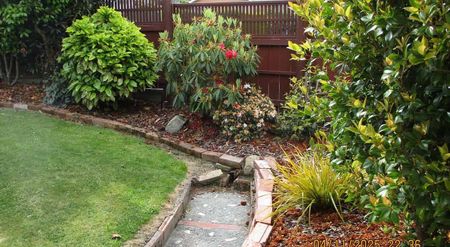 Stunning 4BR Family Home in Glenwood - Photo 4