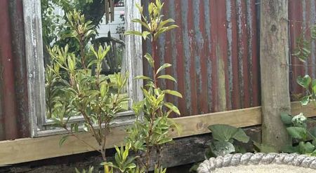 Private, Peaceful and Picture-Perfect — 3 Bedrooms + Large Carport - Photo 3