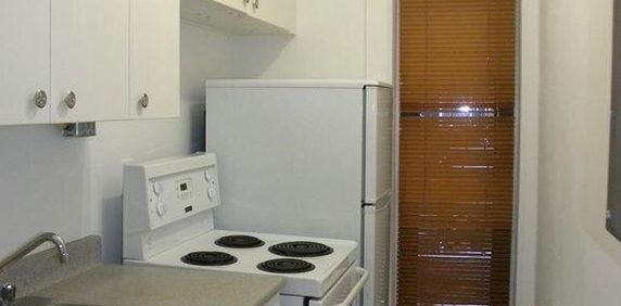 1 chambre - 3655 Ste-Famille, Montréal - Photo 2