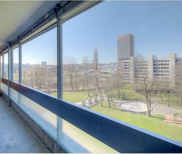 "Herrliche Aussichten" - Photo 2