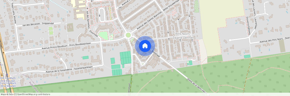 Rue au Bois, 525, 1150, Woluwe-Saint-Pierre