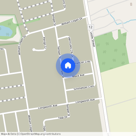 9 Schmeltzer Crescent, Richmond Hill