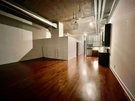 TIP TOP LOFTS: Bathurst St & Lake Shore Blvd W (637 Lake Shore W) AD#000309 - Photo 5