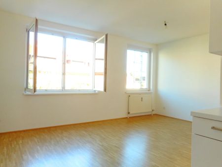 CITY PARK sonnige, sanierte 2ZI mit Allgemeingarten - Photo 3