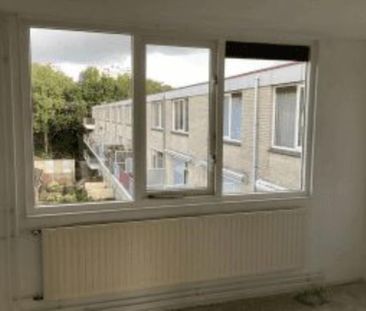 Jupiter 84 - Photo 1