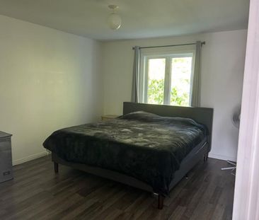 4 1/2 - Lévis - 985 $/mois - Photo 3
