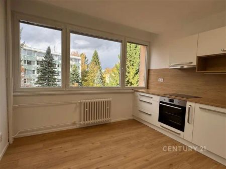 Pronájem bytu 3+1/B, po kompletní rekonstrukci, Vodňanská ul. - Photo 3