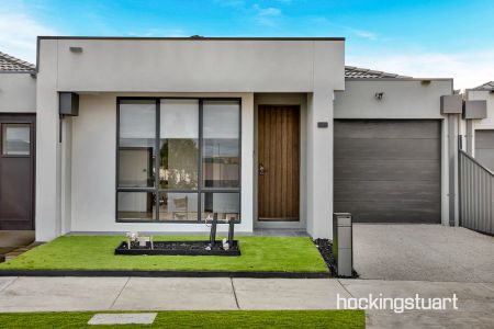 3 Tomentosa Court, Donnybrook. - Photo 4