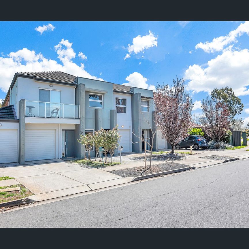 7 Springbank Road, Colonel Light Gardens, SA 5041 - Photo 1