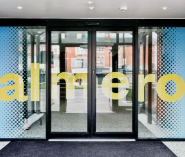 Bronze Studio Plus - Photo 6