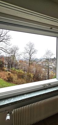 Wenige Gehminuten vom Stadtzentrum entfernt - Foto 1