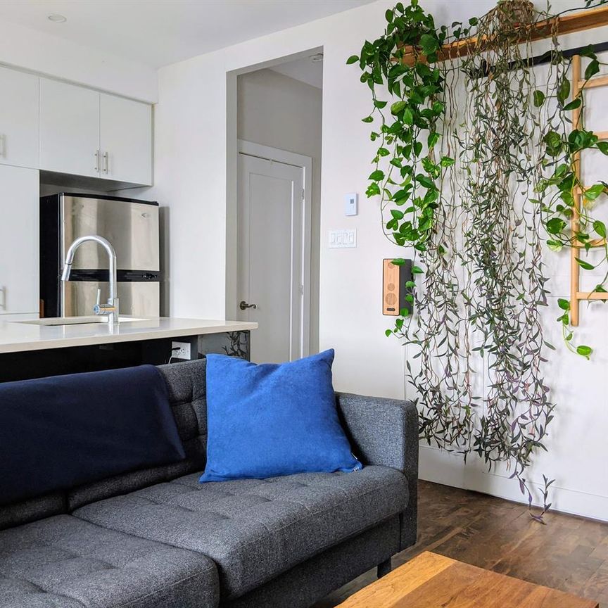 2 CH - 1 SDB - Montréal - $1,615 /mo - Photo 1