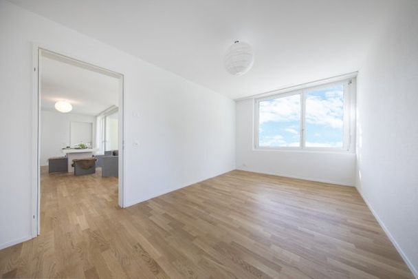 2.5 Zimmer, 54 m², 1. Stock - Foto 1