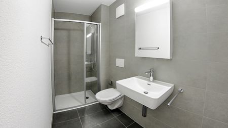 High-quality 3 1/2-room attic apartments in Langenthal - Photo 4