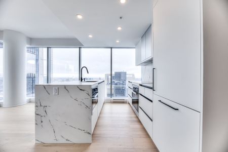 720 Rue St-Jacques #3501 - Photo 4