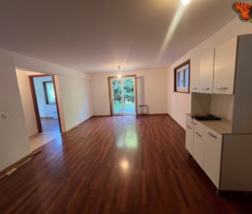 2 ½ pièces au Pâquier - Pour les amoureux de la nature ! - Photo 1