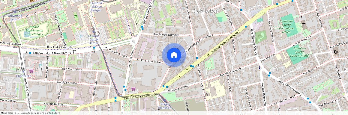 69100, Villeurbanne