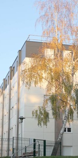 À Tourville-la-Rivière : grand appartement T3 en location - Photo 1
