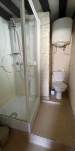 Location Appartement 1 pièce 24m² RENNES 35000 - Photo 3