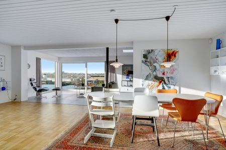 Stor og rummelig udsigtsvilla, Viborg - Foto 4